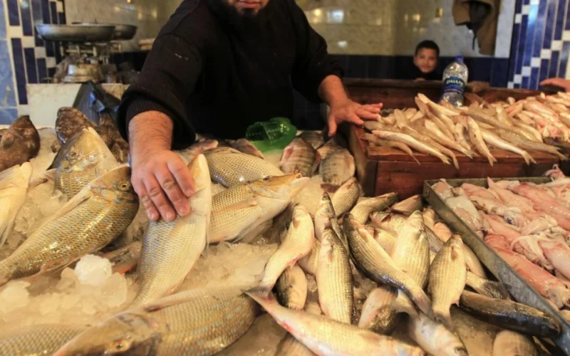 أسعار الأسماك في سوق العبور اليوم الخميس 27 نوفمبر 2025 تتصدر المشهد